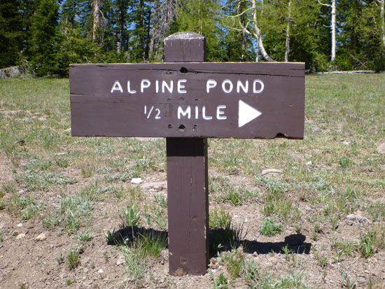 Alpine Pond Trail