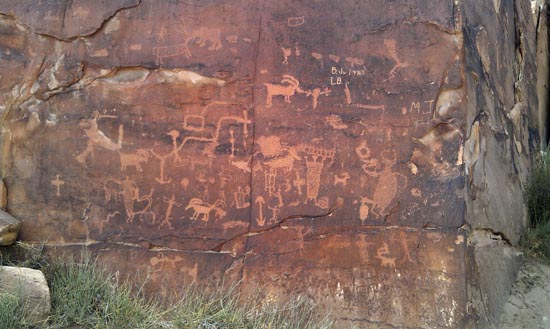 Rochester Petroglyph Panel Rock Art