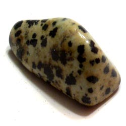Dalmatian Stone (Jasper)
