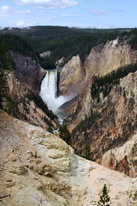 Canyon Area of Yellowstone National Park