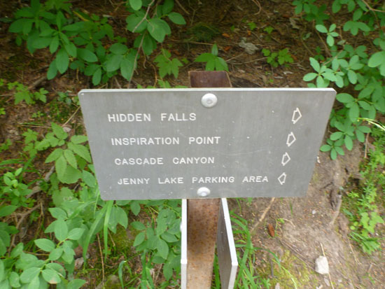 Hike Around Jenny Lake