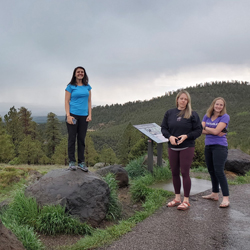 Larb Hollow Overlook