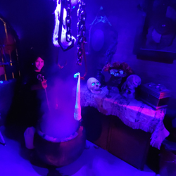 Savannah's Haunted House