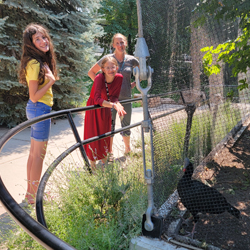 Tracy Aviary
