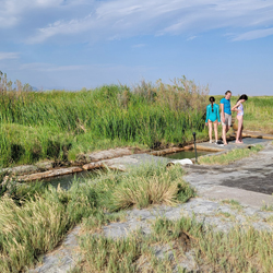Baker Hot Springs