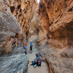 Wife 6 Canyon