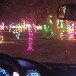 Festival of Lights