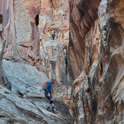 Wife 2 Canyon