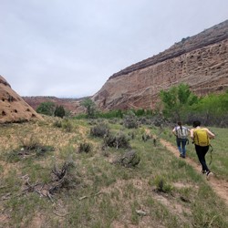 Little Grand Canyon Trail
