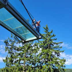 Treetop Walk Harz