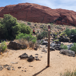 Butterfly Trail