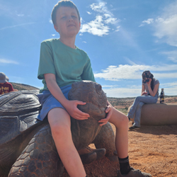 Tortoise Walk