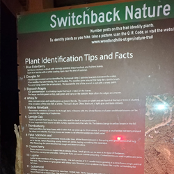 Woodland Hills Switchbacks Trail