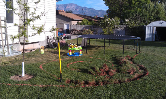 Landscaping the Back Yard