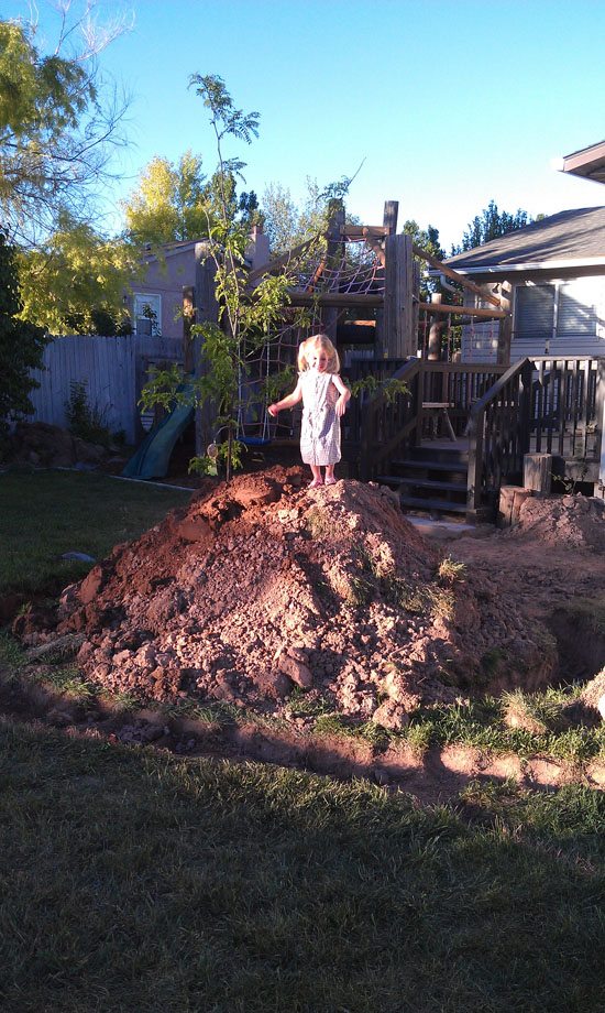 Landscaping the Back Yard