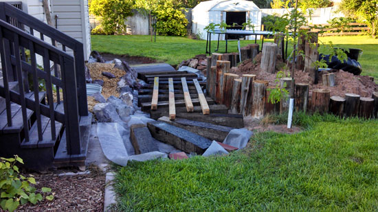 Landscaping the Back Yard